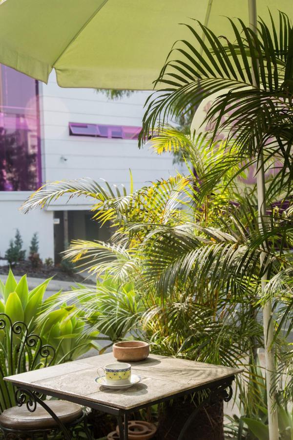 Hostel Spring City Medellín Buitenkant foto